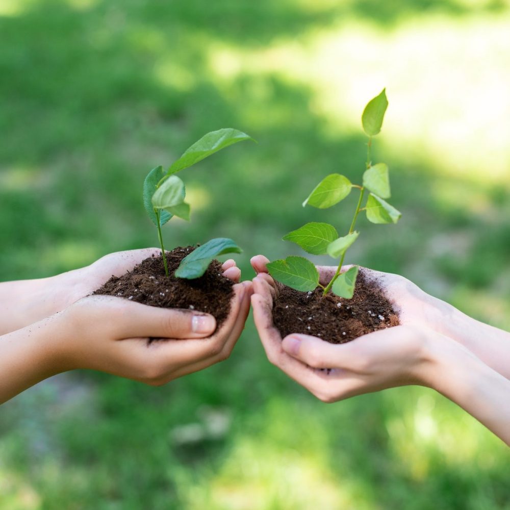 cropped-view-of-girls-holding-ground-with-seedlings-in-hands-e1616509206232.jpg