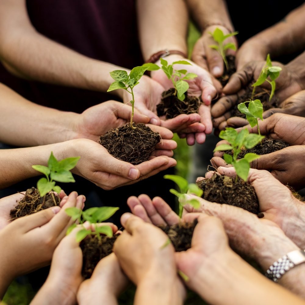 group-of-volunteer-with-sprout-for-growing.jpg